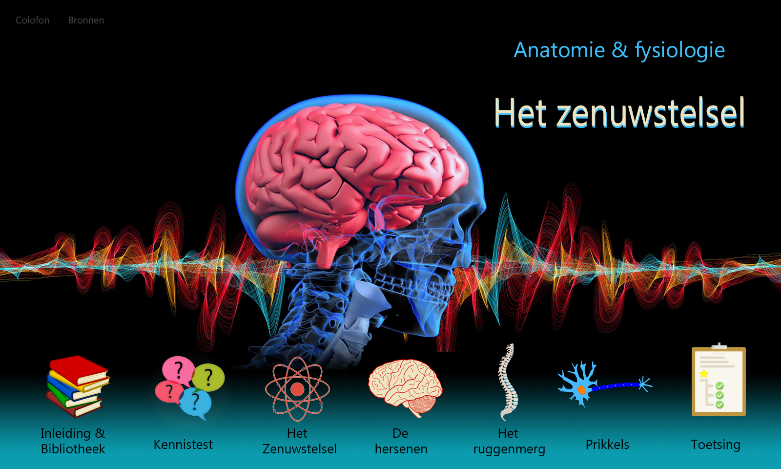 Anatomie & Fysiologie / Zenuwstelsel